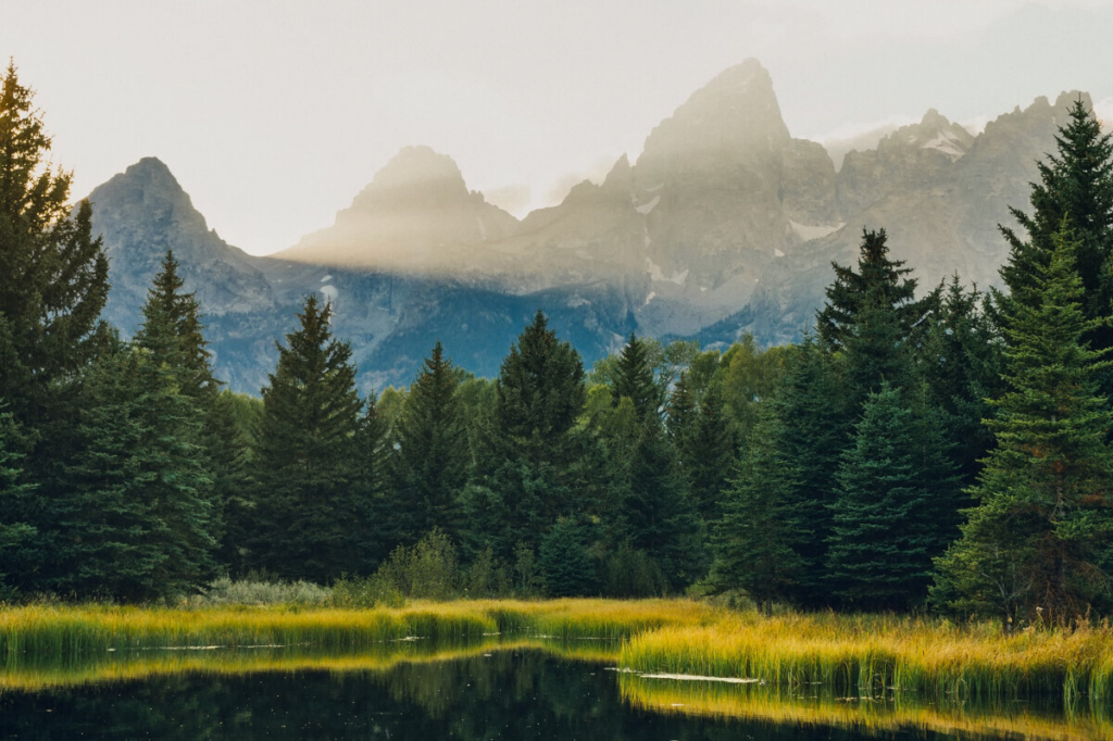 Banner2 1024x682