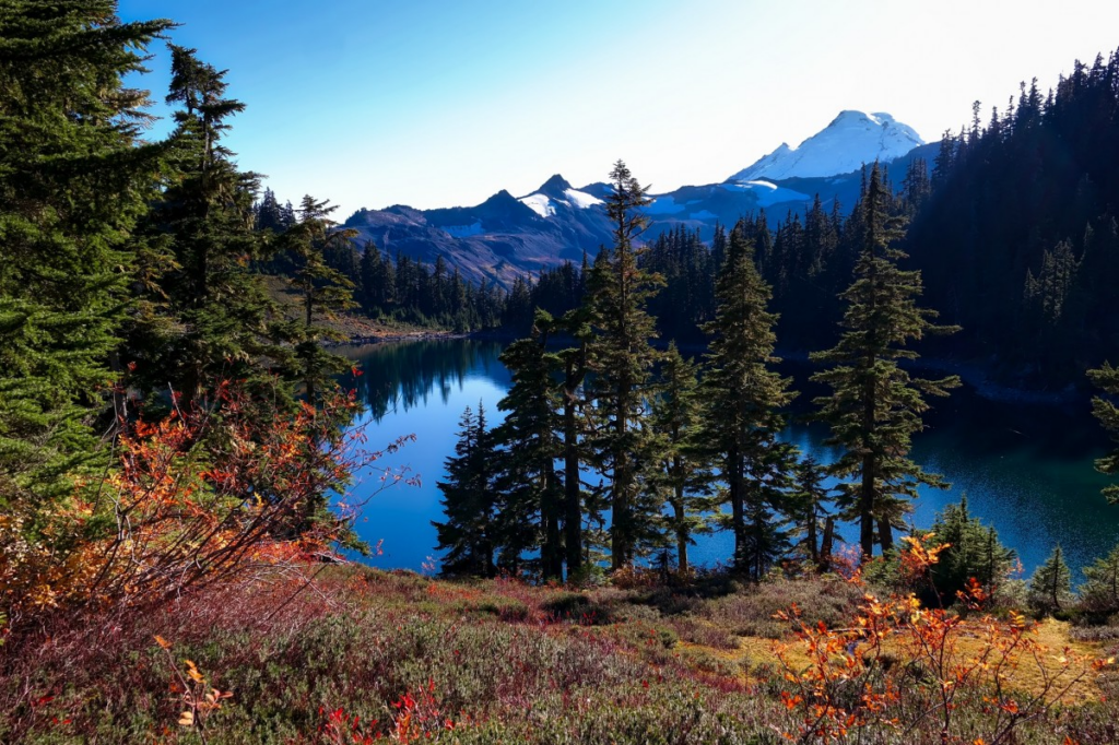 Banner3 1024x682