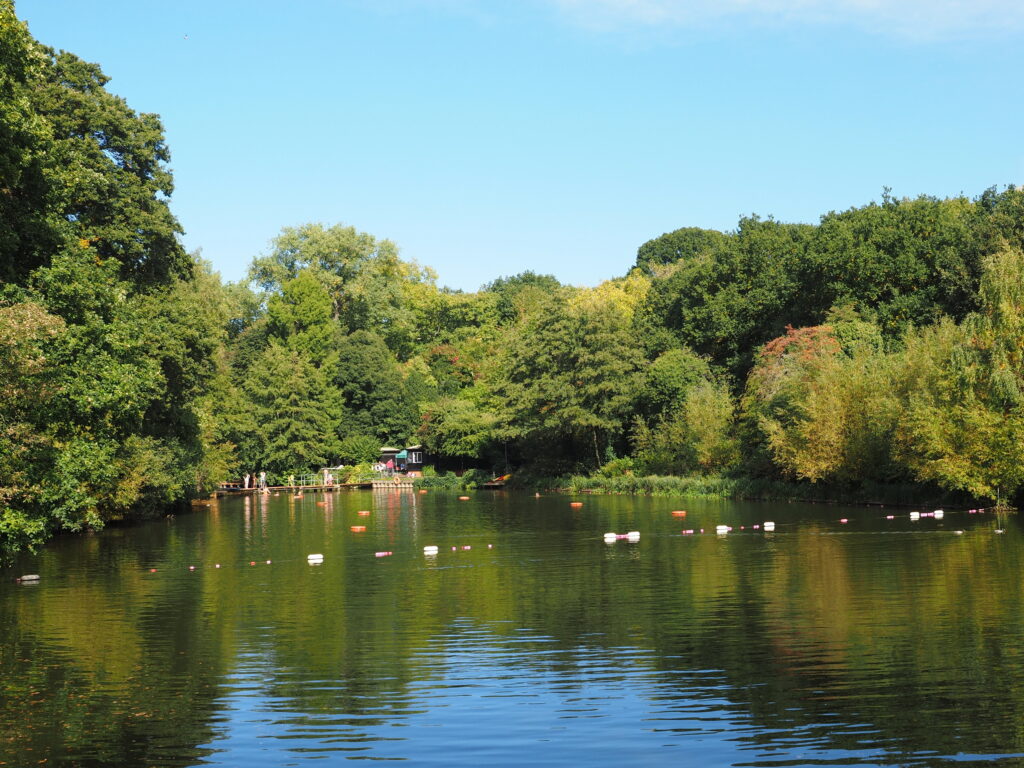Hampstead Heath Mixed Pond: buoys on green water, trees all the way round