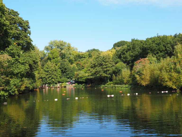 Hampstead Heath Mixed Pond: buoys on green water, trees all the way round