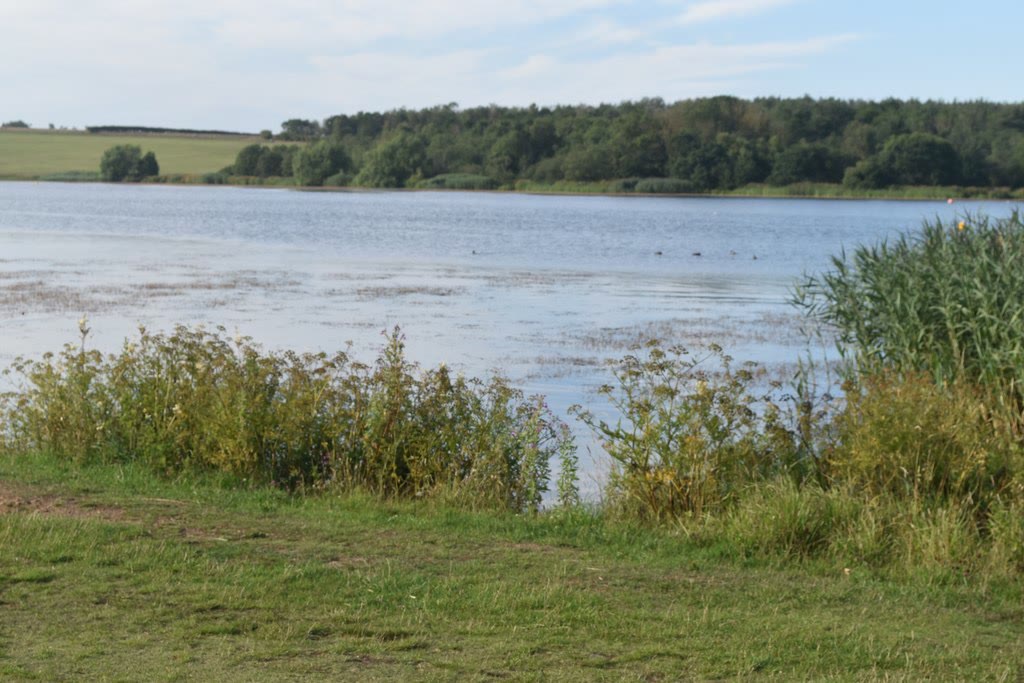 Ladyburn Lake