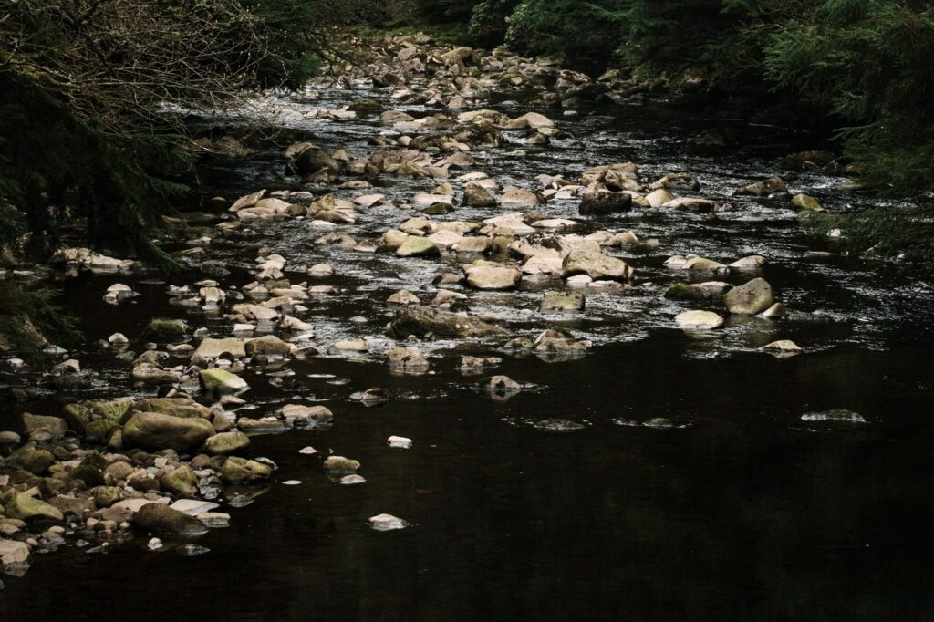 Glen Dye Cabins & Cottages: River Swimming on a Private Aberdeenshire Estate The River Dye running through woodland at Glen Dye, the estate river where cabin and cottage guests swim on site